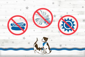 Fourth of july pet warnings