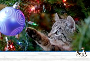 kitten playing with Christmas ornament