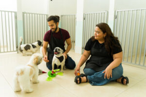 male-and-female-kennel-staff-playing-with-small-dogs-at-daycare