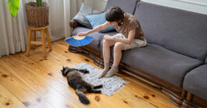 female owner fanning cat as it lays on the floor in the living room